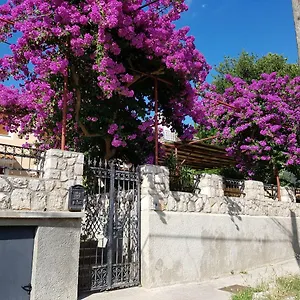 Affittacamere And Rosemari